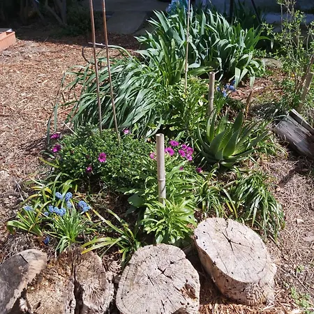 Zad & Zou * La Redorte