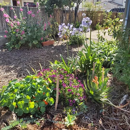 Zad & Zou * La Redorte