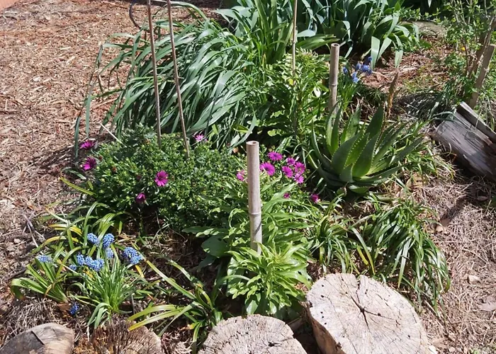 Zad & Zou * La Redorte