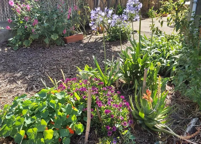 Zad & Zou * La Redorte